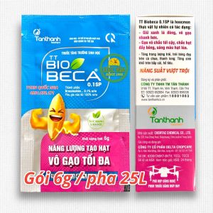 BIO BECA 0.1SP - NĂNG LƯỢNG TẠO HẠT VÔ GẠO TỐI ĐA