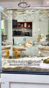 จุลินทรีย์บำบัดน้ำสำหรับตู้ปลาและบ่อปลา 200ml ย่อยสลายของเสีย เศษอาหาร ตะกอน ลดตะไคร่ ลดแอมโมเนีย ควบคุมกลิ่น ทำให้น้ำใสเร็ว ปลอดภัยต่อปลาน้ำจืดและน้ำเค็ม ใช้งานง่ายเห็นผลไว