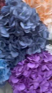 Bunga Hortensia Premium Jumbo x5