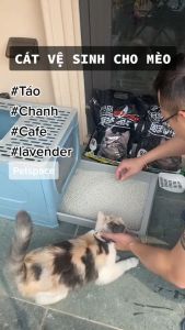 Cát Nhật đen cho mèo 09l Cát vệ sinh cho mèo khử mùi vón cục thấm hút Petspace