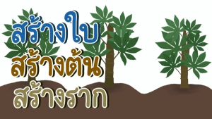 โฟร์ทรี 4Tree อะมิโนแบล็ค Amino Black สูตร ระเบิดหัวมัน ใหญ่ ยาว ดก เร่งราก เพิ่มน้ำหนัก สร้างแป้ง ของแท้ 100%