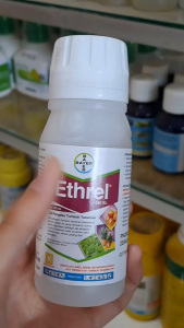ETHREL 480 SL ZAT PENGATUR TUMBUH TANAMAN 100 ML // ETREL ZPT