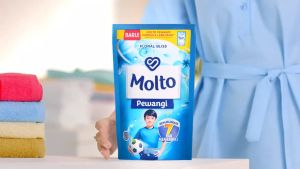 Molto Pewangi 780ml Pelembut Dan Pewangi Pakaian