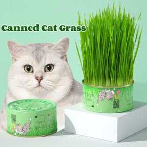 Canned Cat Grass Kit Pet Grass Hydroponic Plant Accelerate Hair Removal Ball Pet Supplies
