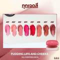 ลิปพุดดิ้ง PALA PUDDING LIPS AND CHEEKS ALL-PURPOSE BALM 5.5g.. 