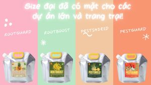 Đặc Trị Nấm Cây Trồng 100% Hữu Cơ Chiết Xuất Từ Gừng Thơm & Vitamin B1 | SunLeaf