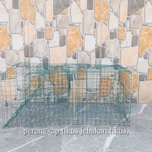 Perangkap Tikus Jebakan Tikus