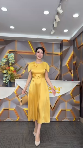 Đầm xòe - Y1938 - Thương hiệu Zonbig