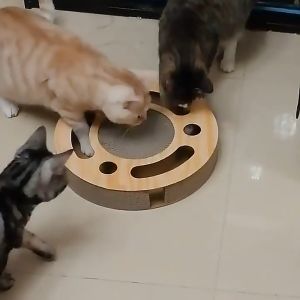 🦴 B.T. ลับเล็บแมว ของเล่นแมว ขนาดเล็กพกพาง่าย เคลื่อนย้ายสะดวก ทรงกลม ฝน กระดาษลูกฟู