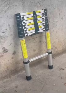 MOLORE | Heavy Duty Aluminium Extension Household Ladder