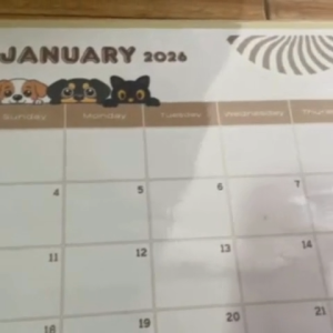 2026 Calendar Desk Calendar Corporate Calendar 17x11inches