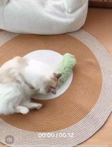 Cat Monster Plush Ring Paper Pillow with Catnip Interactive Cat Toy