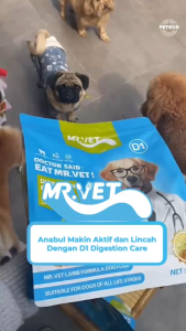 Mr.Vet D1 - Makanan Anjing 1.4kg untuk Menjaga dan Merawat Sistem Pencernaan MAKANAN ANJING DIGESTIVE LAMB RASA LAMB 1.4 KG