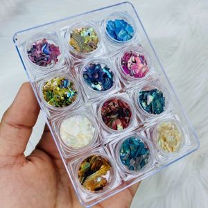 Set xà cừ mảnh vân gỗ 12 màu đắp bột đắp gel ẩn