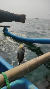 10 Buah Mata Kail Sabiki Dual Hook Untuk Kotrekan Carolina Rig Baby GT