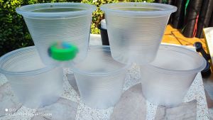 กระถางแปดนิ้วใส แพ็คละ 5 ใบ สินค้าพร้อมส่งมาก