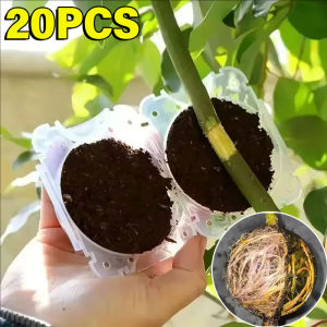 20ชิ้นลูกสำหรับปลูกต้นไม้ใช้ซ้ำได้ลูกสำหรับเพาะพันธุ์เพาะพันธุ์ต้นกล้าการขยายพันธุ์ต้นอ่อนสำหรับทำสวนที่บ้าน