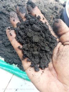 pasir moza hitam halus | kemasan 1kg
