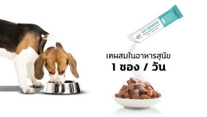 ผงอาหารเสริมโปรไบโอติก Gut Booster 1ซอง สูตรสำหรับหมา ทานง่าย แบบโรยอาหาร ปรับสมดุลลำไส้ แก้ ท้องเสีย ถ่ายเหลว ถ่ายเหม็น ท้องอืด by Sun Wonder