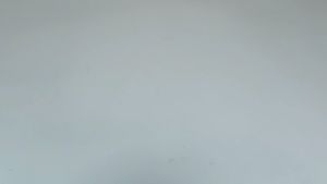 Tutup Support Shock Breaker Agya Ayla Original 48684-BZ120