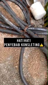 HOGASAN: Solusi Cairan Semprotan Anti Hama Serangga