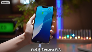 👍🇸🇬 In Stock 3C 22.5w Power Bank Portable Charger Fast Charging Powerbank With Charging Cable 10000/20000mAh 移动电源