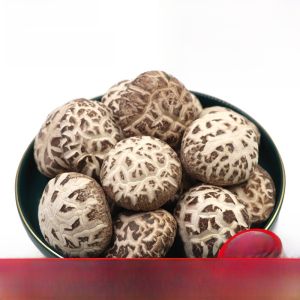 Northeast Specialty Pure Birchwood Mushroom Leg Removed Thick Meat Dried New Stock 500g Long White Mountain Large Flower Mushroom