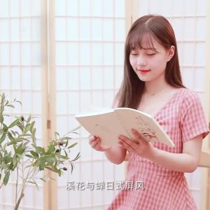 Foldable Mobile Solid Wood Screen Japanese Modern Style
