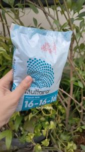 Pupuk NPK MUTIARA 16-16-16 kemasan 1 KG