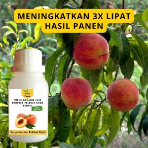 Pupuk Persik Cepat Berbuah / Pupuk Pelebat Buah Persik / Pupuk Booster Persik Cair