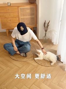 Muji Carpet Cat Mat Cat Scratch Carpet Minimalist Round Carpet Large Floormat Woven Jute Rug Round Rug Carpet Rug Papan Calar Kucing 猫抓垫