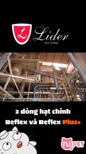 Thức ăn hạt cho mèo trưởng thành Reflex Plus 1.5kg