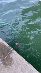 Emika Choice 1100Gph 12V 24V 25mm DC Water Pump Non-Automatic Marine Submersible Boat Bilge Pump RV