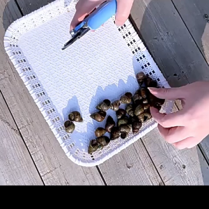 Kềm Cắt Xoắn Ốc Inox - Dụng Cụ Tách & Loại Bỏ Đầu Xoắn Ốc Nén Chất Cao Cấp