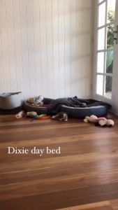 Dixie Dog Basket with base cushion - BERKUALITAS!! Tempat Tidur Anjing Kucing / Hewan Peliharaan