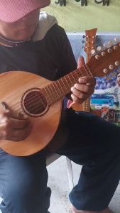 14 Strings Solid Mahogany Banduria for Rondalla Ensemble