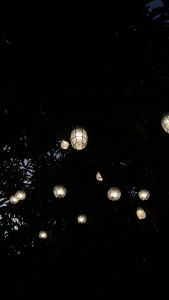 Robles Heritage Elegant Capiz Shell String Lights Set of 10 Waterproof Indoor/Outdoor Fairy Lights with Free LED Bulbs Energy-Saving New | XP0940 - LILY