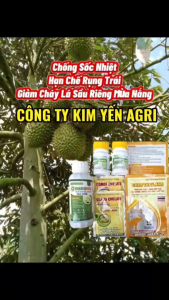 Phân bón - chống sốc nhiệt 1 TẢO BIỂN + 2 NEWBRA + 2 CABO THÁI + 2 COMBI giúp xanh dày lá tăng sức chóng chịu khô hạn hạn chế cháy lá tăng đậu trái hạn chế rụng trái