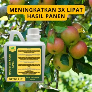 Pupuk Semprot Pelebat Buah APEL Pupuk Pelebat Buah APEL Pupuk Penyubur Buah APEL ZPT