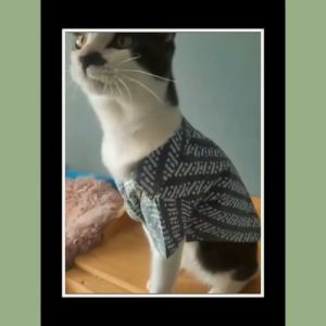 Pet Batik Shirt for Cats and Small Dogs Cotton Olive Green Traditional Motif by Furry Finds Hub