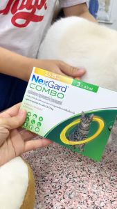 Nexgard Spectra Spot-On for Large Cats 2.5 to 7.5kg Phòng Ve Rận Ghẻ Demodex Bọ Chét Giun Cho Mèo Lẻ 1 Liều