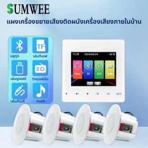 โฮมเธียเตอร์เพลงพื้นหลังระบบเสียงผนังเครื่องขยายเสียงบลูทูธเสียง TF AUX แผงควบคุมลําโพงเพดาน