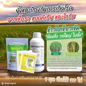 🌾ชุดข้าวแตกกอใบเขียวเข้ม🌾 ทนโรค ทนแมลง🐛🦗1 ชุดฉีดได้ 20 ไร่ เพิ่มประสิทธิภาพในการสังเคราะห์แสง ทำให้ใบเขียว ใบแข็ง ทนต่อการกัดกินของแมลงศัตรูพืช🌾ลดอัตราใช้ปุ๋ยได้ถึง 30% ใช้กำจัดเชื้อโรคในน้ำหรือเมื่อพบการระบาดของโรคพืชในแปลงนาข้าว