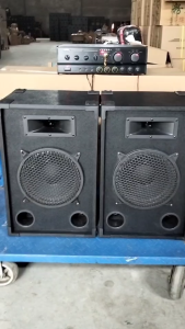WSK F8-2way professional passive speaker is suitable for home singing birthday parties(1PCS)