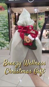 Blu Scents Breezy Wellness Xmas Gift - Lemongrass oil with Mini Air Purifier Aromatherapy Set