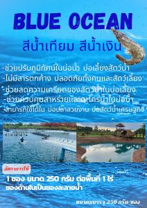 สีน้ำ​เทียม​ สี​น้ำทะเล​เทียม​ สีวิทยา​ศาสตร์​ บ่อ​กุ้ง​ Blue​ Ocean​ Blue​ Sea​