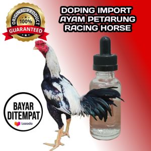 Doping ayam aduan bangkok petarung Super Sangat Ganas