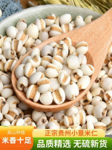 Authentic Xingren Small Coixseed Rice from Rural Areas Genuine Coixseed Grain Qujiang Xingren Edible Agricultural Products
