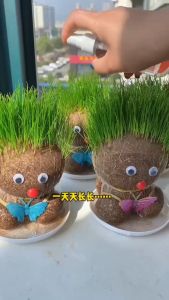 Grass Heads Doll toys Room Decor Children Growing Grass Doll Toys Table plant decor indoor grass heads doll