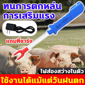 ใช้งานได้ในวันที่ฝนตก ก้านไล่หมูไฟฟ้าช็อต ฝีมือเยอรมัน Electric Pig Repellent Sticks อัพเกรดใหม่เยี่ยม ไม่เป็นอันตรายต่อสุกร สามารถใช้ได้ในวันฝนตก  หลายขนาด ปล่อยอย่างปลอดภัย   ป้องกันการหล่นและทนทาน ก้านไล่หมูไฟฟ้าช็อต แบตเตอรี่นำเข้า ไล่หมูได้ง่ายๆ